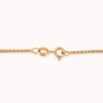 Cadena De Oro 18K Bismark - Imagen 3